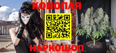 сатива Боровичи