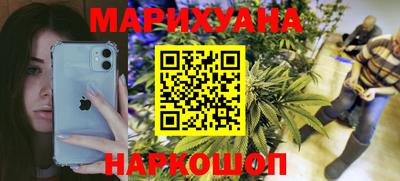 сатива Боровичи