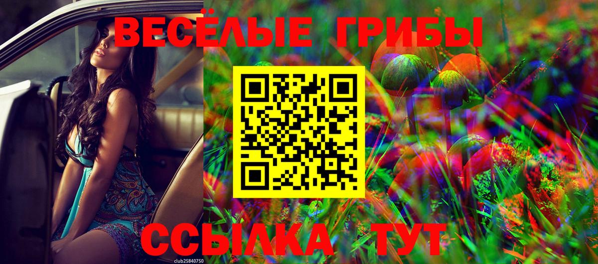 Галлюциногенные грибы Psilocybine cubensis Вологда