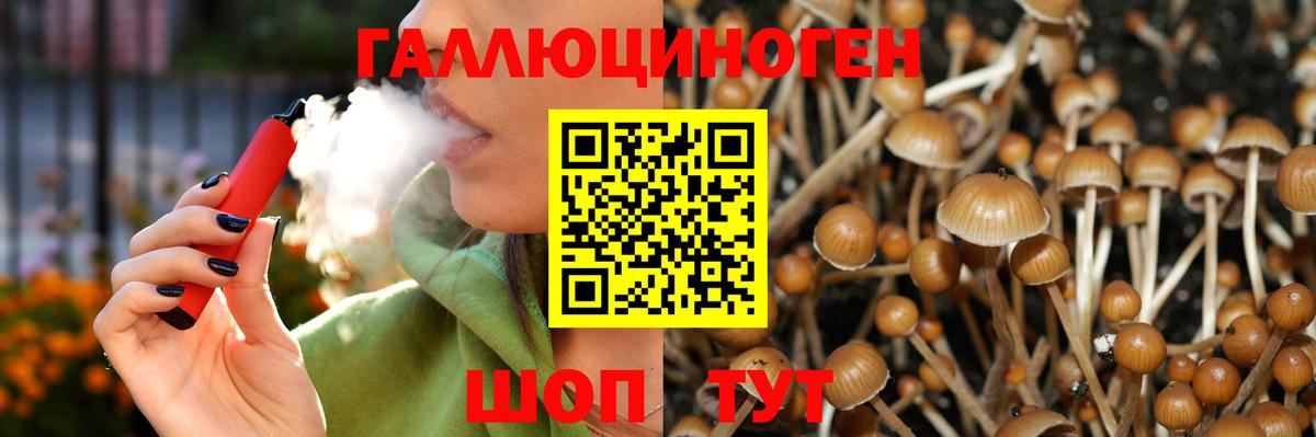Вологда  Псилоцибиновые грибы Psilocybe  Псилоцибиновые грибы мухоморы  Вход с VPN 
